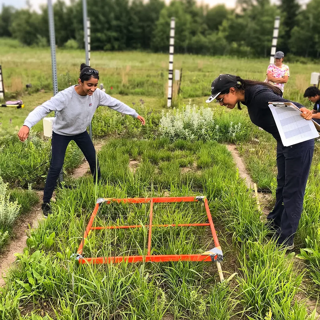 Balzan Prize natural and environmental sciences - Cedar Creek Echological Long Term Research David Tilman Balzan Research Project